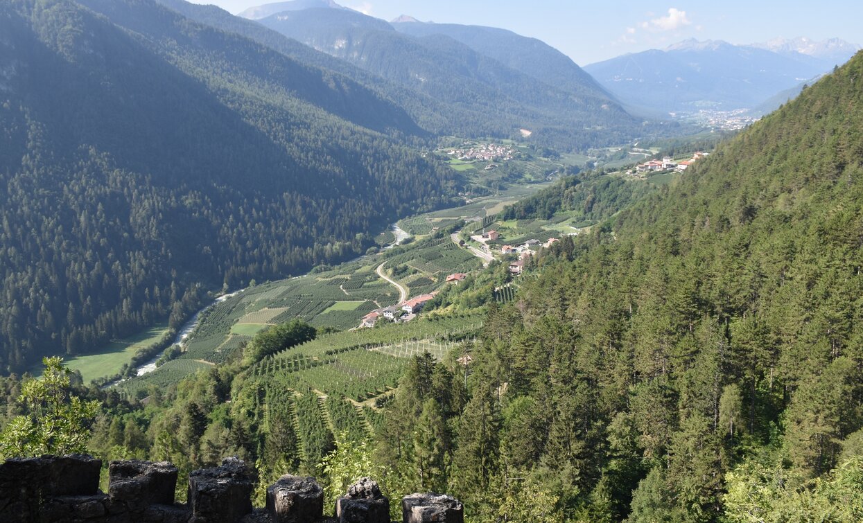 La Val di Sole vista dalle trincee in Bassa Valle | © Dario Andreis, APT Valli di Sole, Peio e Rabbi