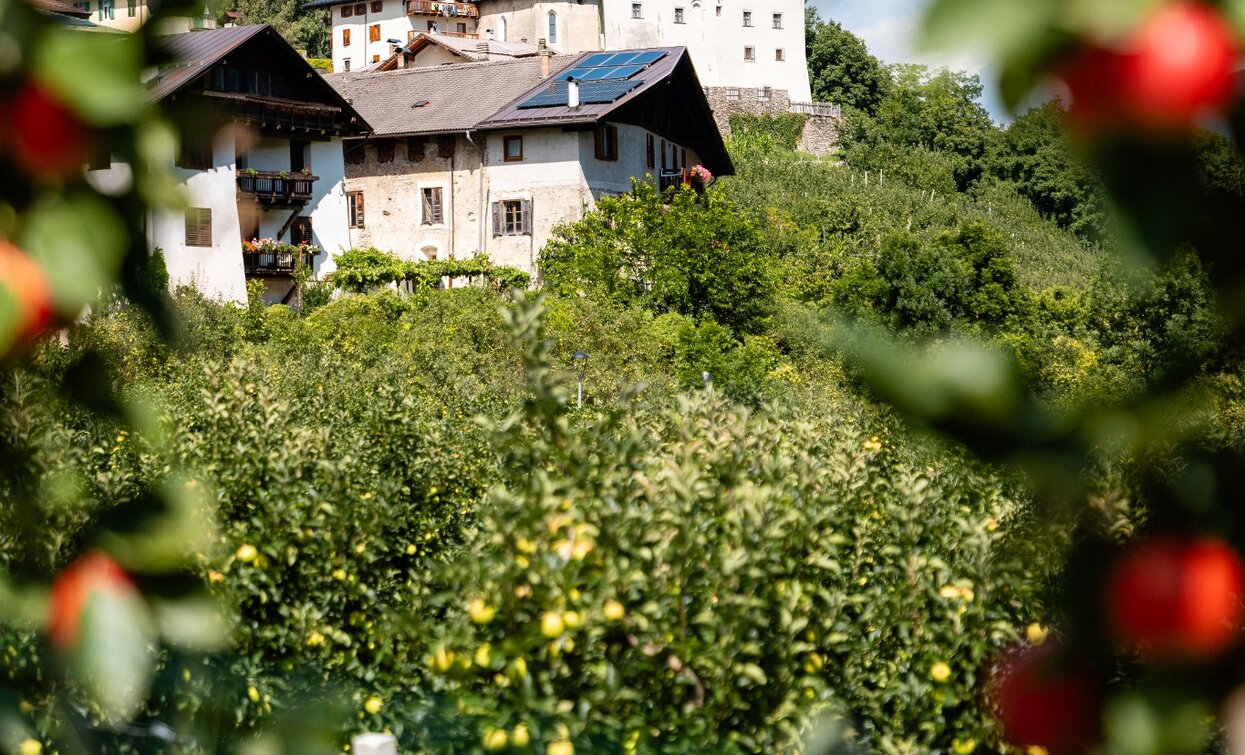 Castel Caldes among the apple orchards | © Nicola Cagol , APT Valli di Sole, Peio e Rabbi