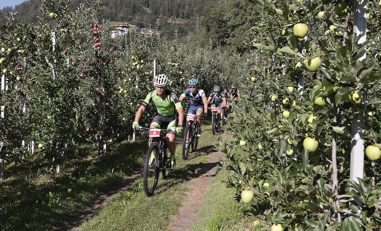 © Sergio Battistini, APT Valli di Sole, Peio e Rabbi