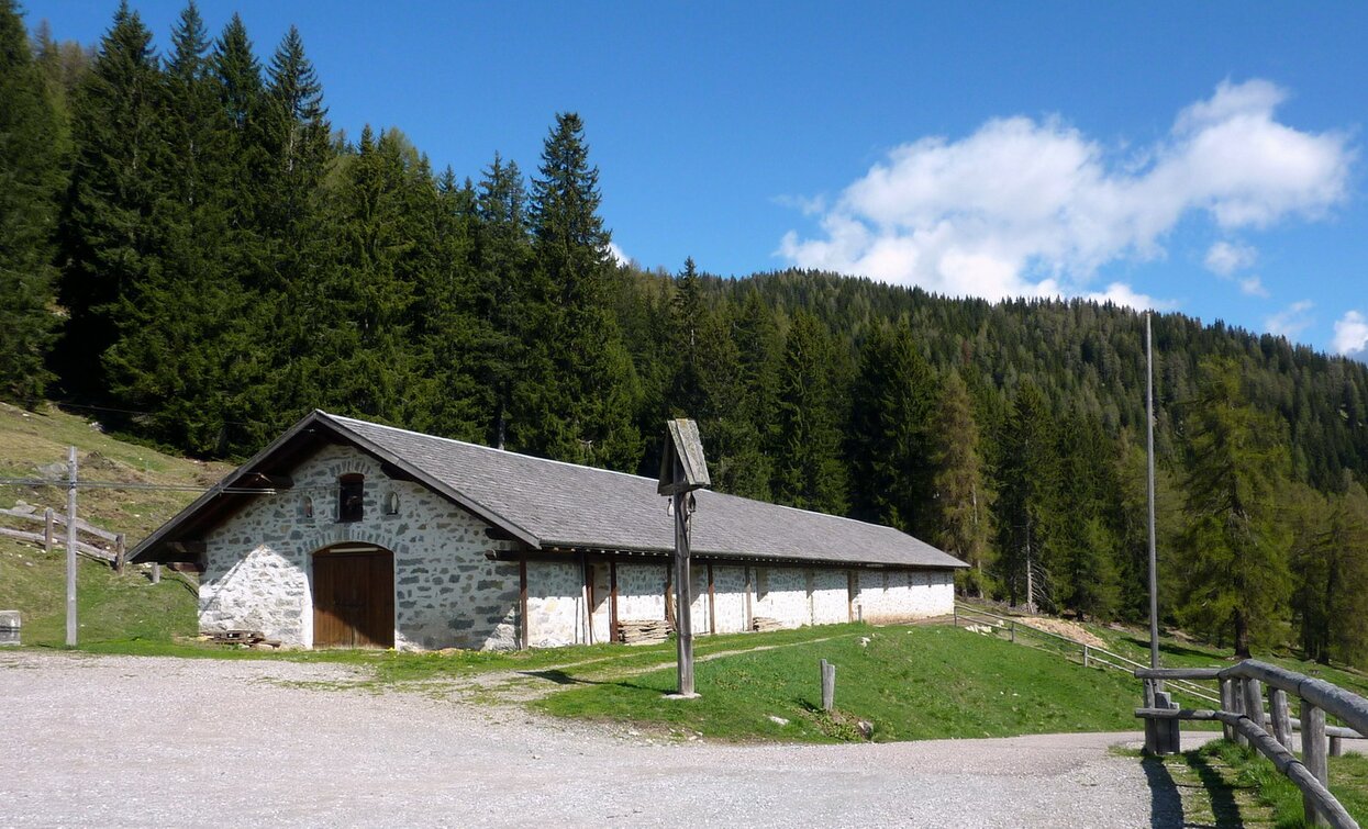 © TRACCIAtour SRL , APT - Valli di Sole, Peio e Rabbi