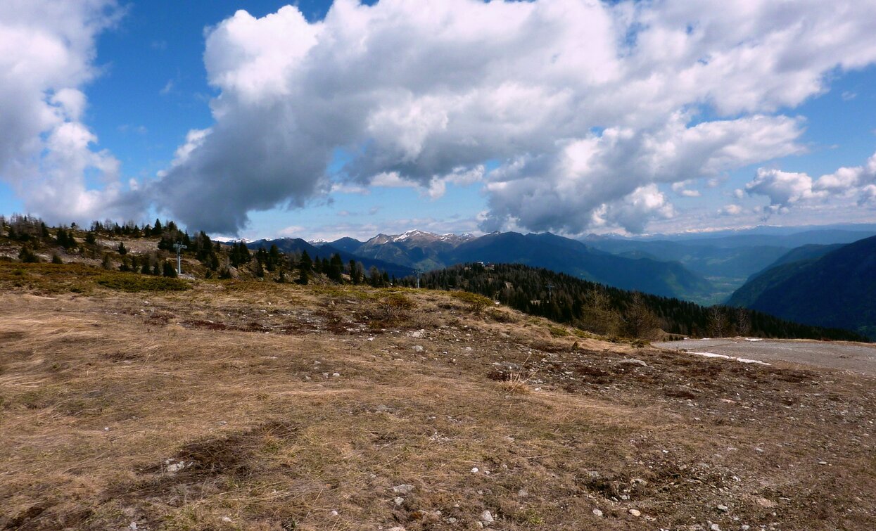 © TRACCIAtour SRL , APT Valli di Sole, Peio e Rabbi