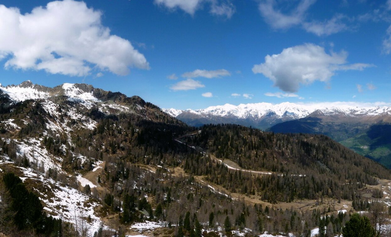 © TRACCIAtour SRL , APT Valli di Sole, Peio e Rabbi