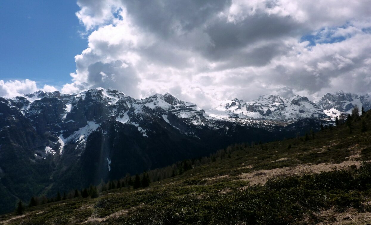 © TRACCIAtour SRL , APT Valli di Sole, Peio e Rabbi
