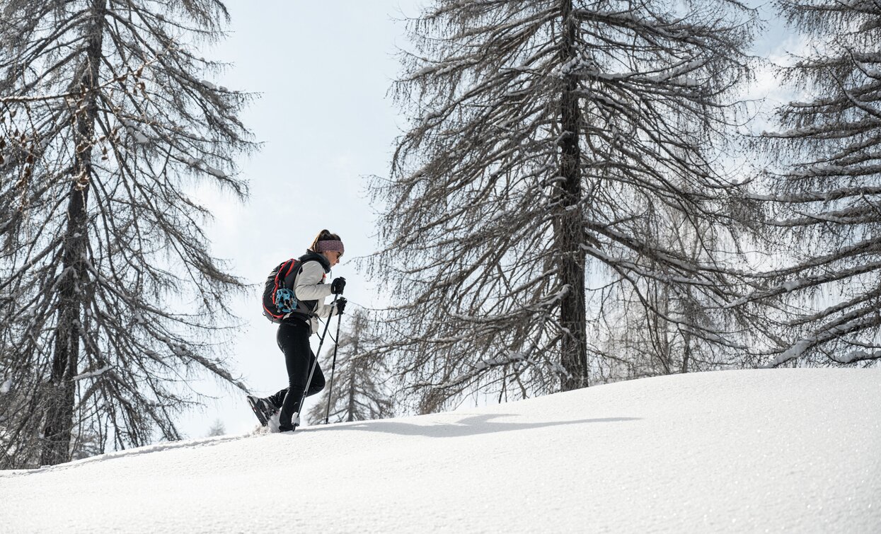 Con le ciaspole verso il Malghet Aut a Folgarida | © Elisa Fedrizzi, APT Valli di Sole, Peio e Rabbi