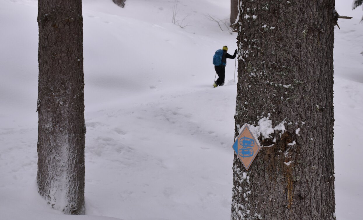 Segnaletica lungo il percorso | © Dario Andreis, Azienda per Il Turismo Val di Sole 