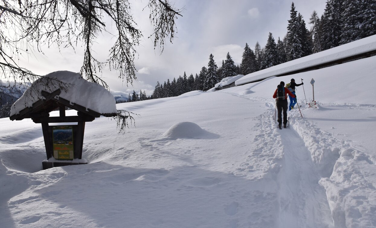Malga di Dimaro | © Dario Andreis, Azienda per Il Turismo Val di Sole 