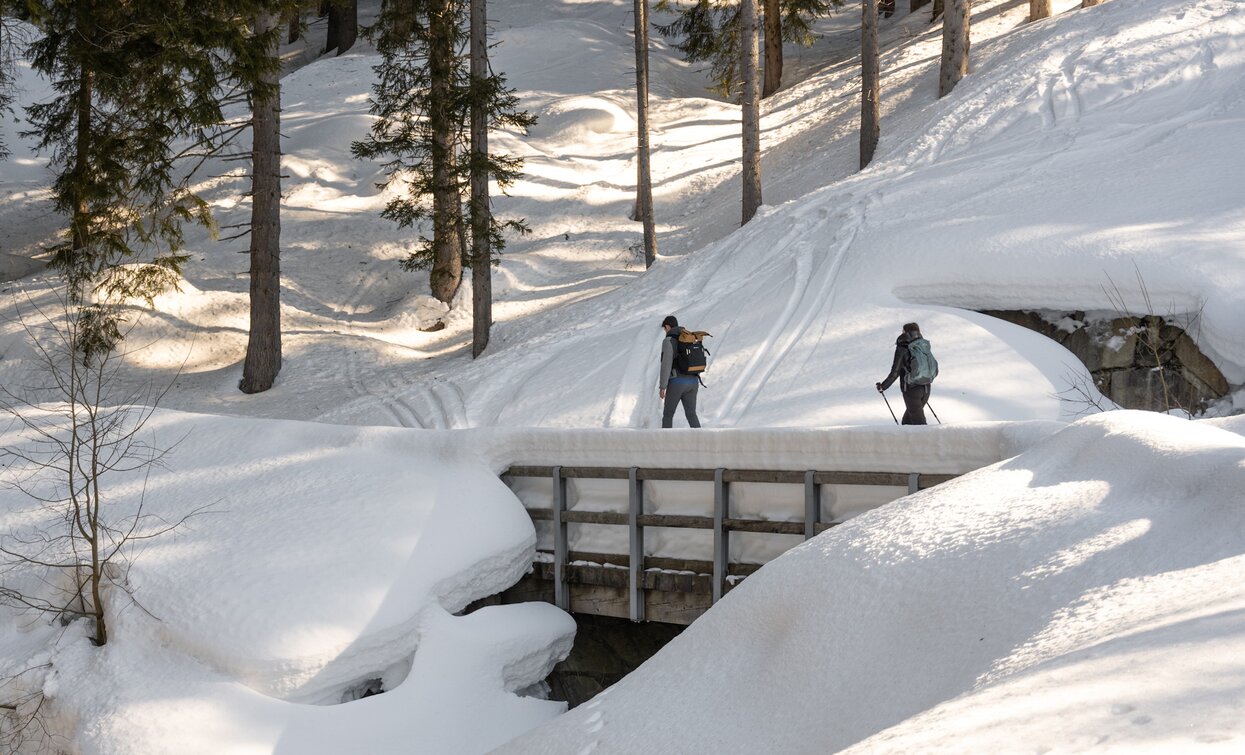 Verso il Malghetto di Almazzago con le racchette da neve | © Elisa Fedrizzi, APT Valli di Sole, Peio e Rabbi