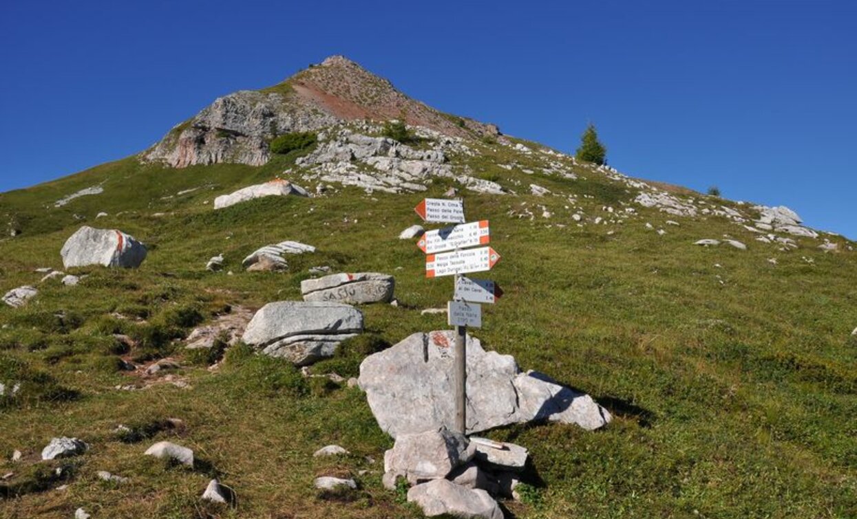 Dimaro, Valle dei Cavalli | © VisitTrentino, APT Valli di Sole, Peio e Rabbi