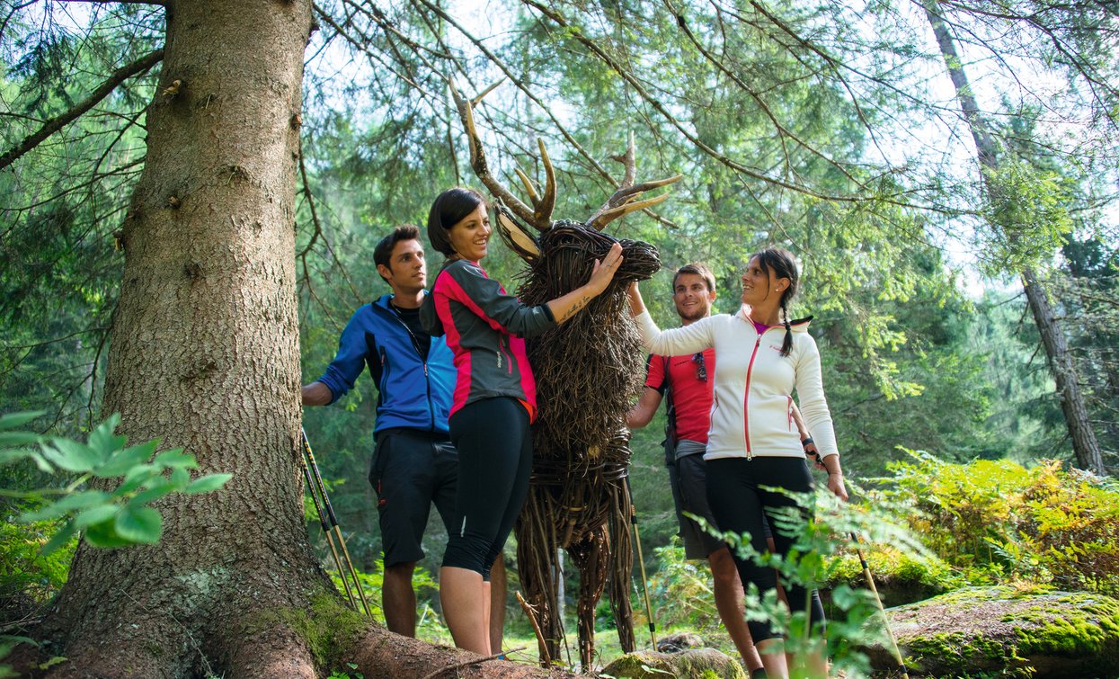 Sentiero Valorz in Val di Rabbi | © Archivio APT Val di Sole - Ph Rotwild