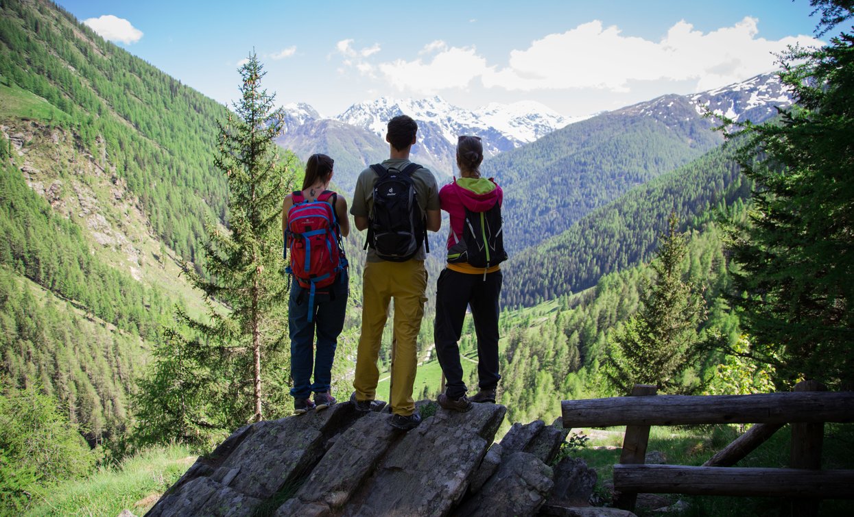 Passeggiate in Val di Sole | © Archivio APT Val di Sole - Ph Pillow Lab