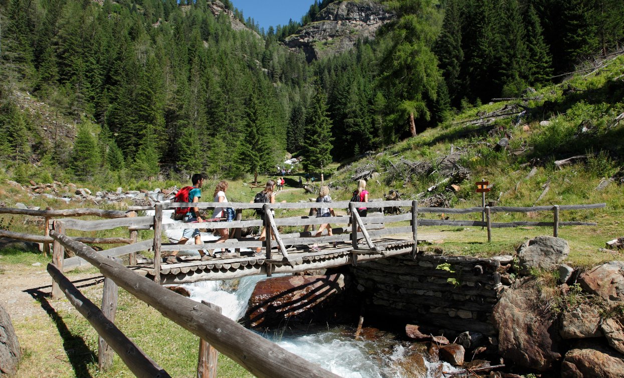 Passeggiate in Val di Sole | © Archivio APT Val di Sole - Ph Brianimage