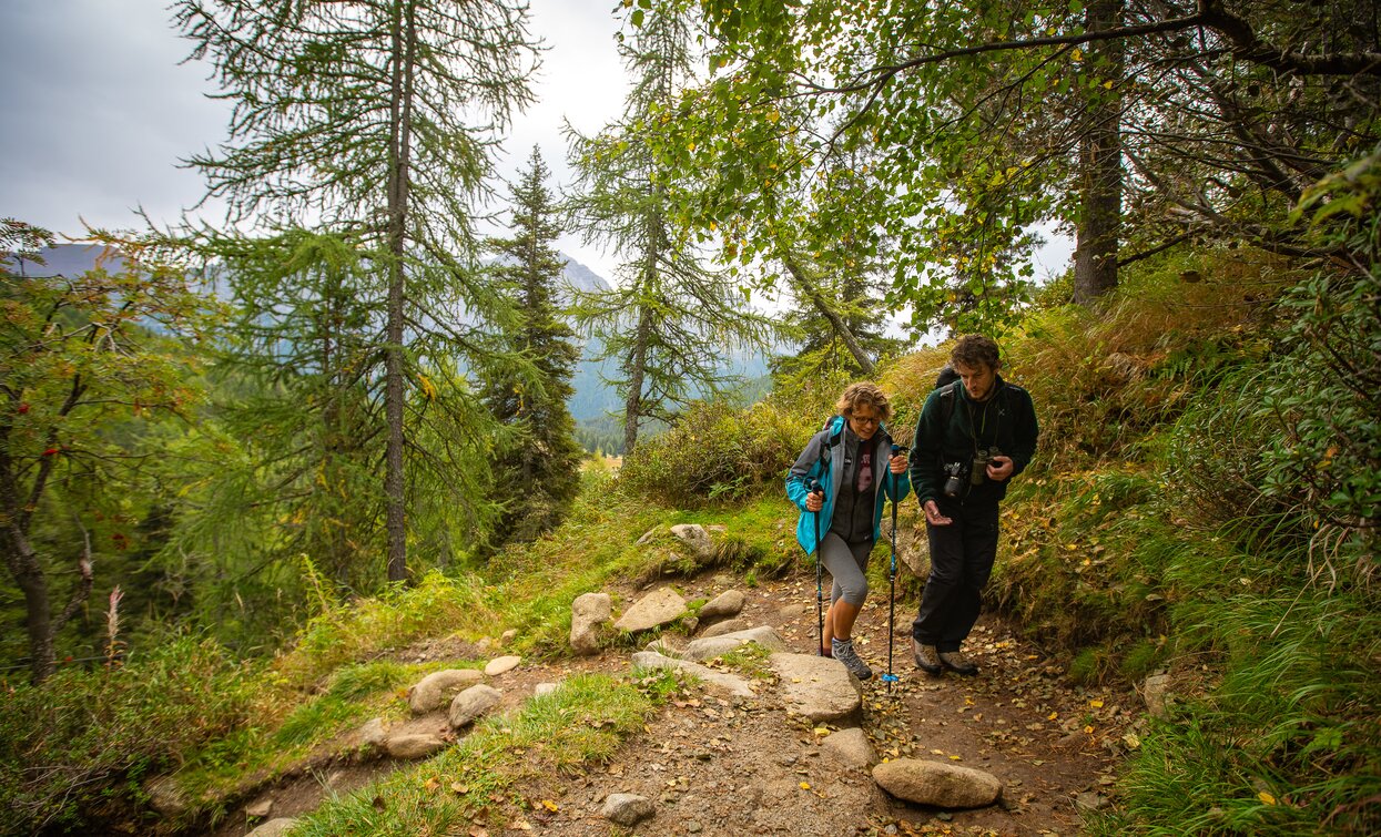 Trekking lungo il sentiero per il Lago delle Malghette | © Trekking con vista sulle Dolomiti di Brenta